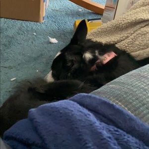 Meet your Posher, Kenneth